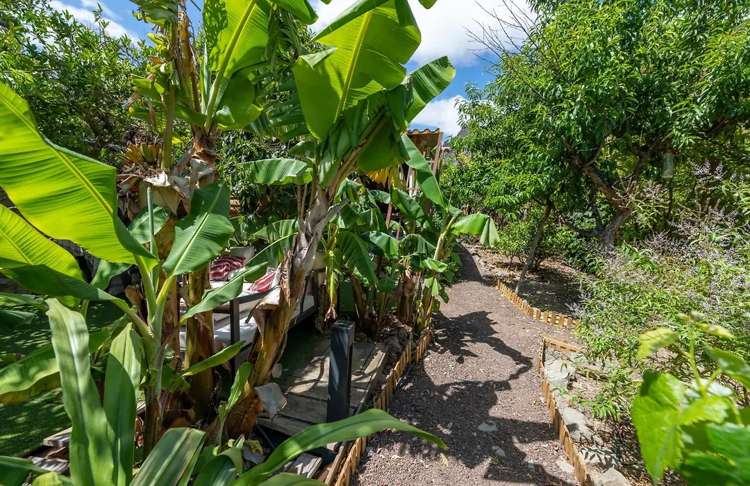 Finca OASIS Fataga-1